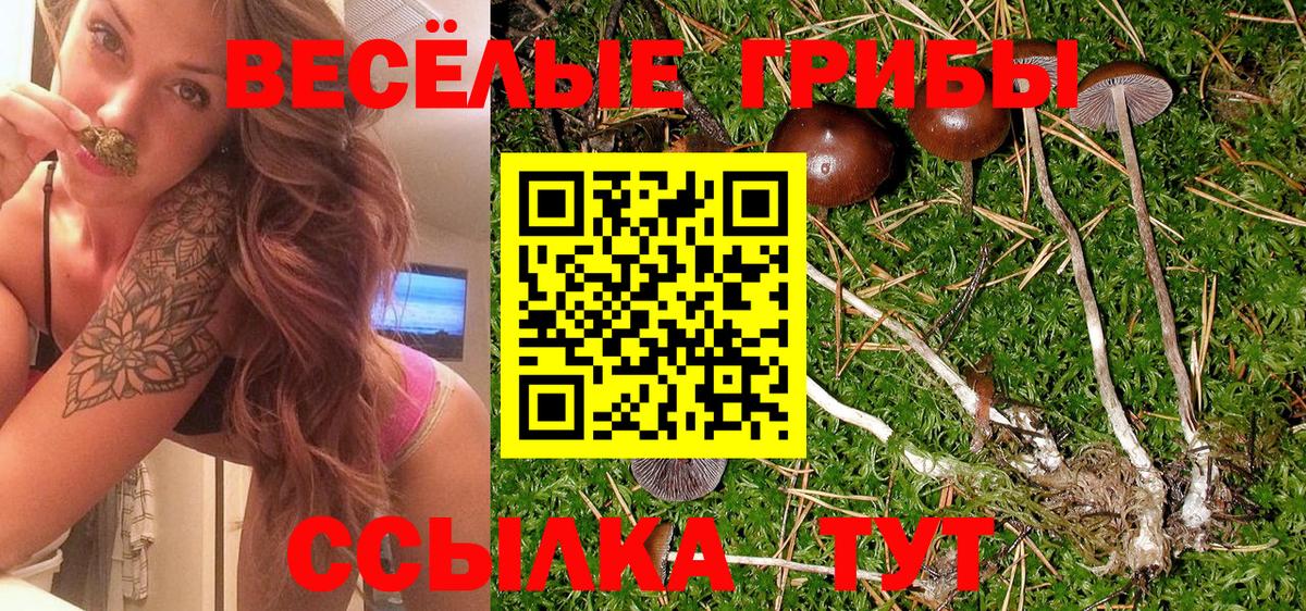 Галлюциногенные грибы Psilocybine cubensis Урай